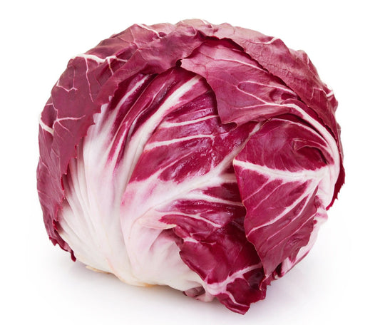 Radicchio Tondo Salentino - Verdur8