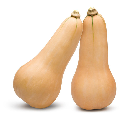 Zucca Butternut - Verdur8